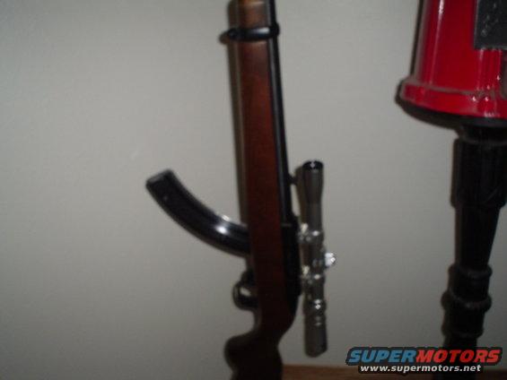 picture-001.jpg Ruger 10-22 with $7 scope and 25 rd Magazine.