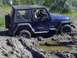 1981 Ford Bronco - Stuck heep during clean up. We all had some fun!!