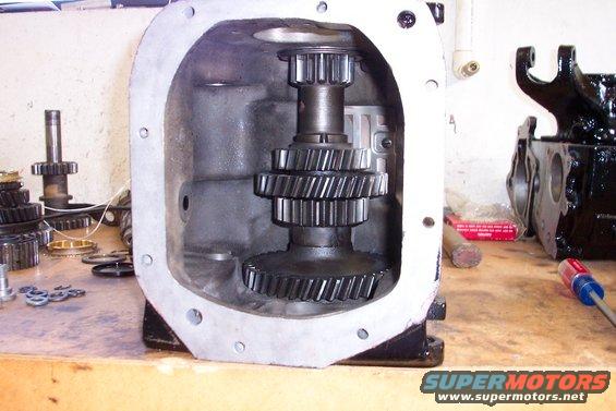 100_1287.jpg CLUSTER
