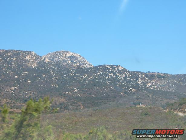 rock piles with green 