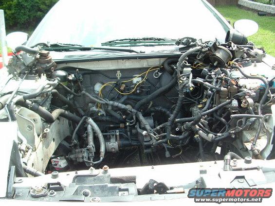 Engine bay with hood open, showing complex wiring and engine components
