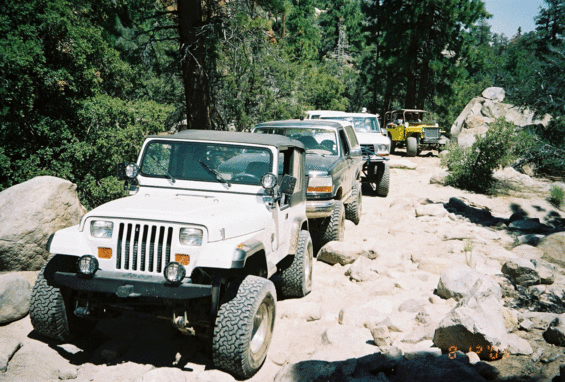 137098r10631.gif 