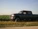 1996 Ford F-350 - A dark green 1996 Ford F-350 pickup truck is parked beside a field of tall green crops under a clear blue sky.