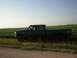 1996 Ford F-350 - Side view of a black 1996 Ford F-350 crew cab pickup truck parked next to a field of crops under a clear sky.