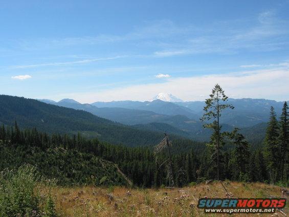 Mountain landscape with trees and a distant snow-capped peak under a blue sky