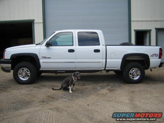 2003 Chevrolet Silverado 2500 pickup truck, side view, with a dog sitting in front