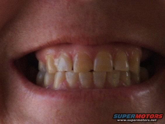 dig-pics-090.jpg 