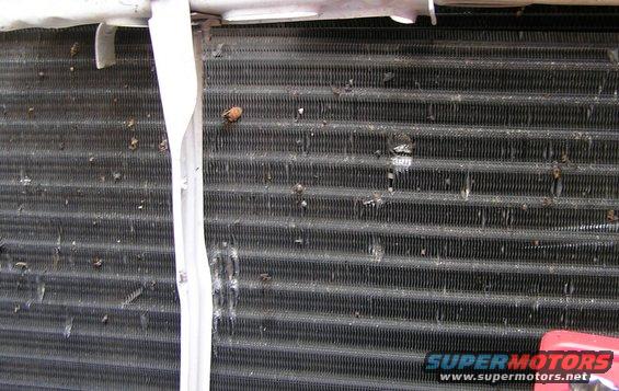 12.jpg Damage pic 11