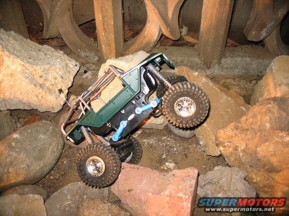 img_3784.jpg big head...