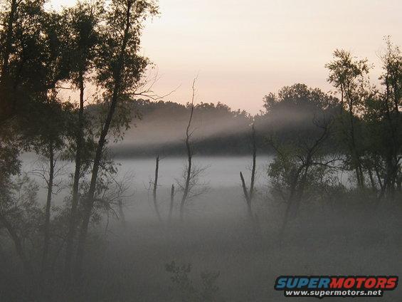 fog-4.jpg 
