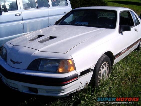White coupe with hood scoops, red pinstripe, and a bird emblem on the hood