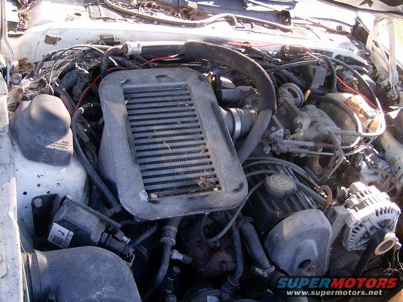 1988 Ford Thunderbird engine bay with intercooler and wiring
