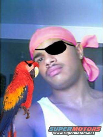 Man wearing a pink bandana and eyepatch, with a parrot on his shoulder. Text at bottom reads SUPERMOTORS