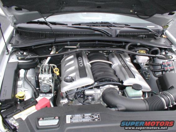 Engine bay with GTO valve covers and Supermotors.net logo