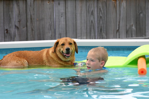 Dog and boy swimming in a pool on a float