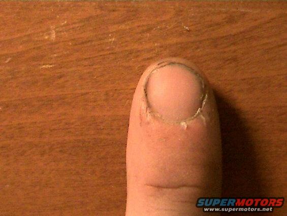 nickcamerapics-003.jpg unsmashed finger
