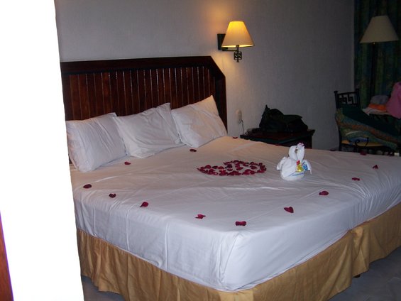 Hotel room bed with white linens, pillows, rose petals, and a towel swan