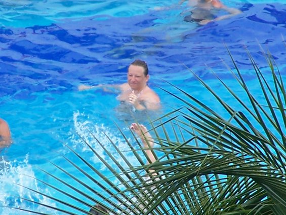 People swim in a bright blue pool, with palm fronds partially obscuring the view