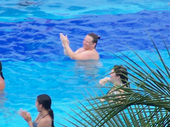 People swimming and clapping in a bright blue pool, with palm fronds in the foreground