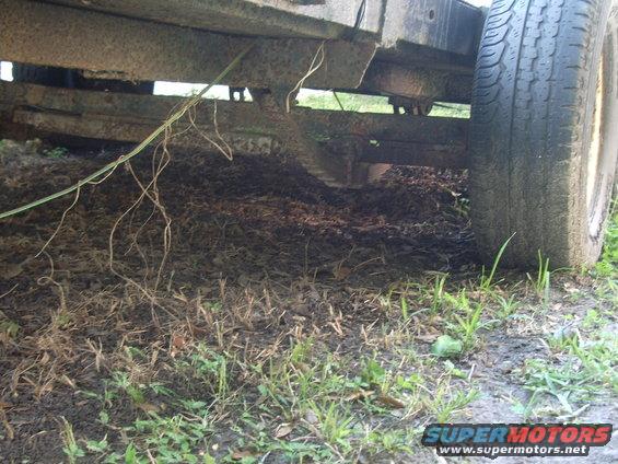 Underside of a trailer with leaf litter and grass around the tire