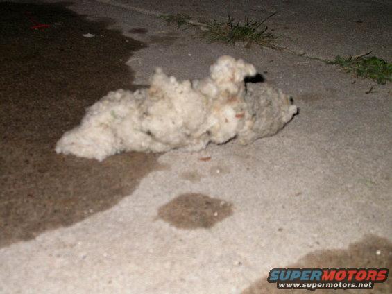 rats-nest.jpg Pulled this moust nest out of my bikes engine while rehabbing it.