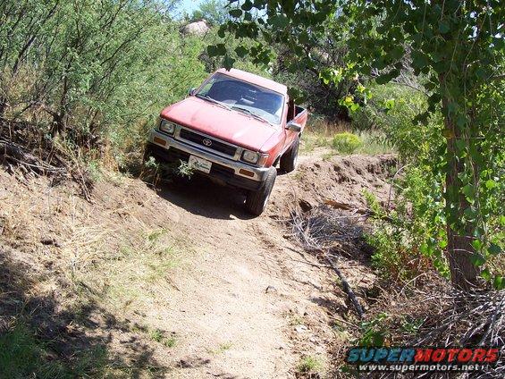 100_1104.jpg Jared had room to spare.

