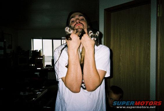 Man holding two ferrets up to his face. A child is visible in the background