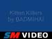mihais kk vid.wmv — A Video made by a friend of mine many years ago when we started the Kitty Killers!! :P
