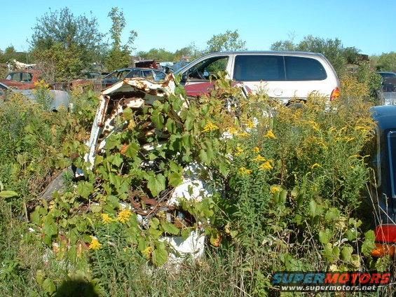 junkyard-sept-00007.jpg 