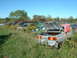 1978 Ford Mustang II - Multiple abandoned vehicles are visible in a grassy junkyard under a clear blue sky.