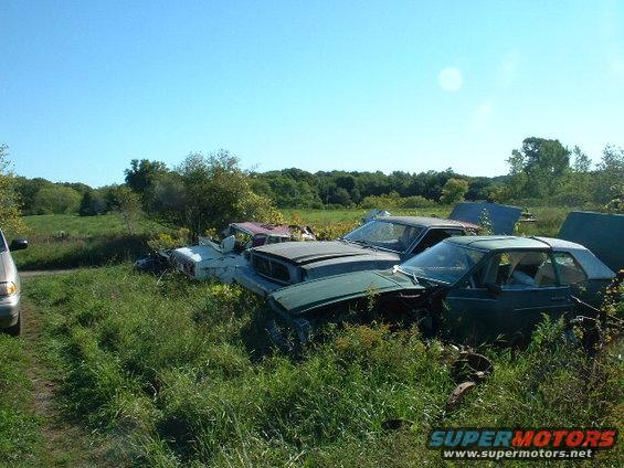 Junkyard scene with several old cars overgrown with grass