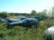 1978 Ford Mustang II - Junkyard scene with multiple abandoned vehicles under a clear blue sky.