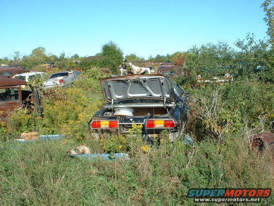 junkyard-sept-00012.jpg 