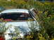 1978 Ford Mustang II - This car's interior is barely visible through the weeds and overgrowth.