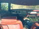 1978 Ford Mustang II - The interior of a 1978 Ford Mustang II is visible, with vegetation growing inside and around the vehicle.