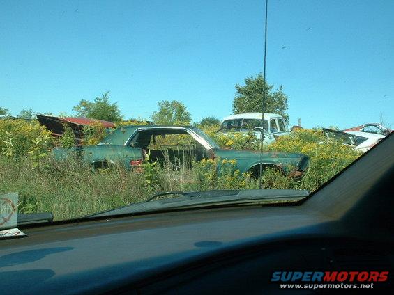 junkyard-sept-00030.jpg 