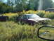 1978 Ford Mustang II - Junkyard scene with a 1978 Ford Mustang II partially obscured by weeds and tall grass.