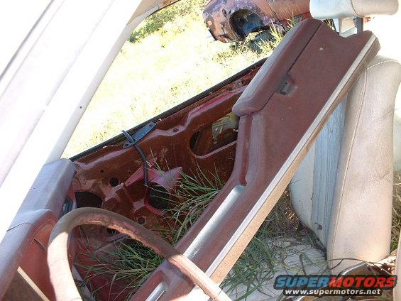 Interior of a rusty car with overgrown grass, showing a steering wheel and door panel. Another car is visible in the background