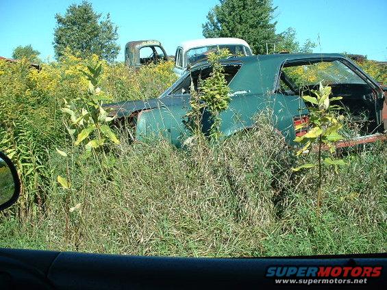 junkyard-sept-00056.jpg 