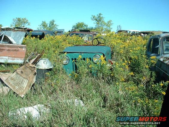 junkyard-sept-00057.jpg 