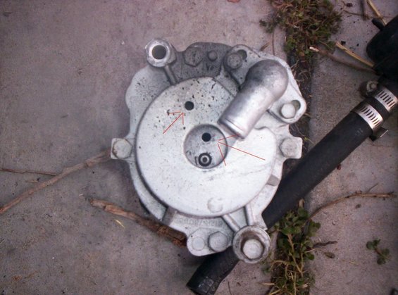 backofsmogpump.jpg What are these?