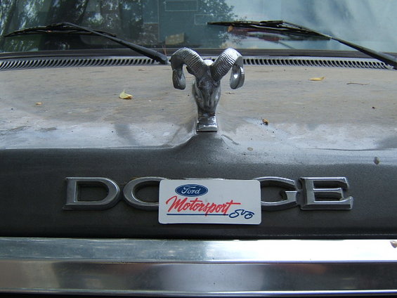 Ram hood ornament on Dodge emblem with Ford Motorsport sticker