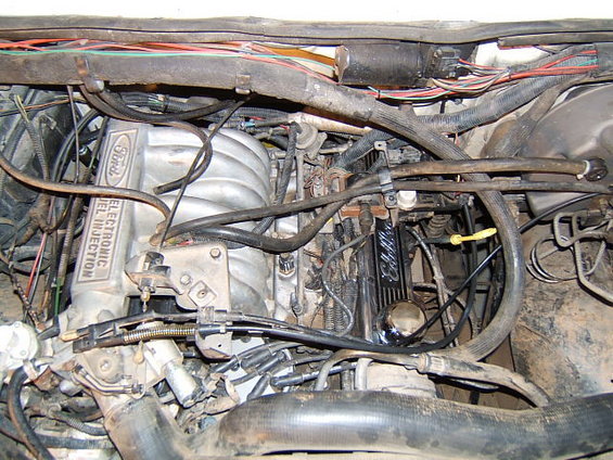 Engine bay with Ford electronic fuel injection intake manifold and Edelbrock valve covers. Visible wiring and hoses