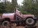 1986 Ford Bronco photo