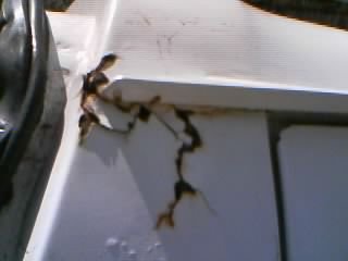 12sep11.jpg typical corner cancer