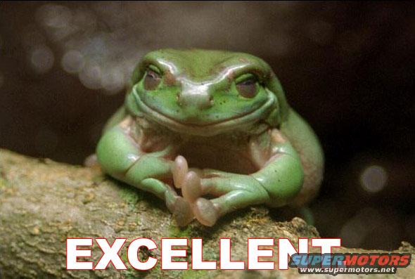 Frog sitting on a branch with the word EXCELLENT and SUPERMOTORS.net logo