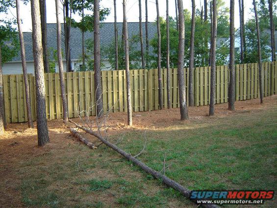 Yard with wooden fence, pine trees, and fallen log. Supermotors logo in corner