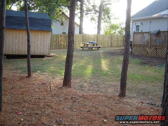 Backyard with shed, picnic table, and deck. Trees in foreground