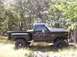 1984 Ford F-150 - Wannabe flex shot