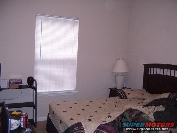 picture-263.jpg 